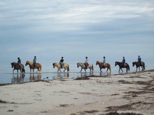 Læsø Dänemark Promo-Code für die Reise booking.com
